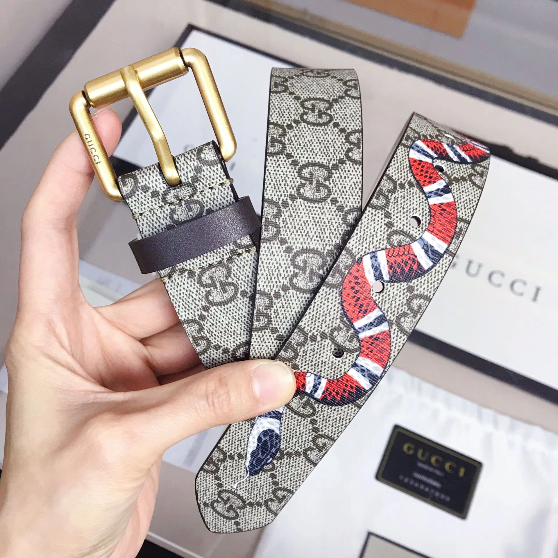 Barbara-- 434520-K5O1T-8692 Alessandro Michele item:C-S179L0667R