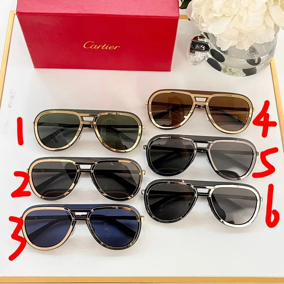 Barbara-- 6Colour item:C-S132D01139-6