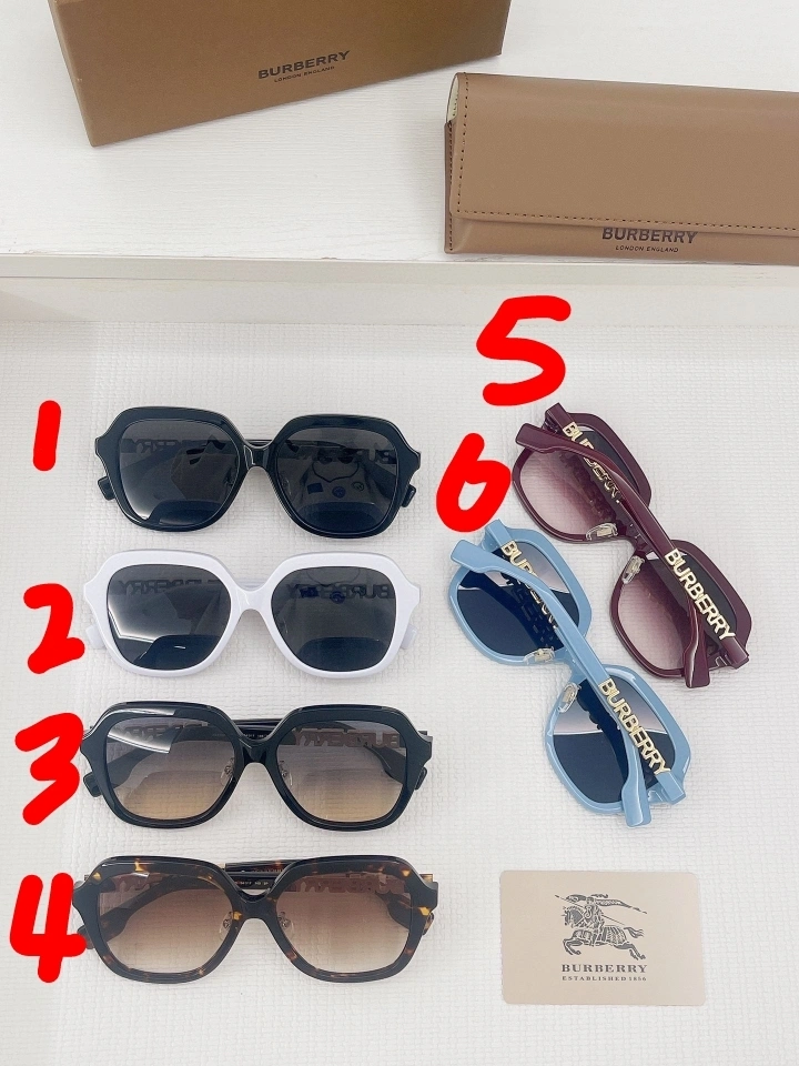 Barbara-- 6Colour item:C-S132D0169-6