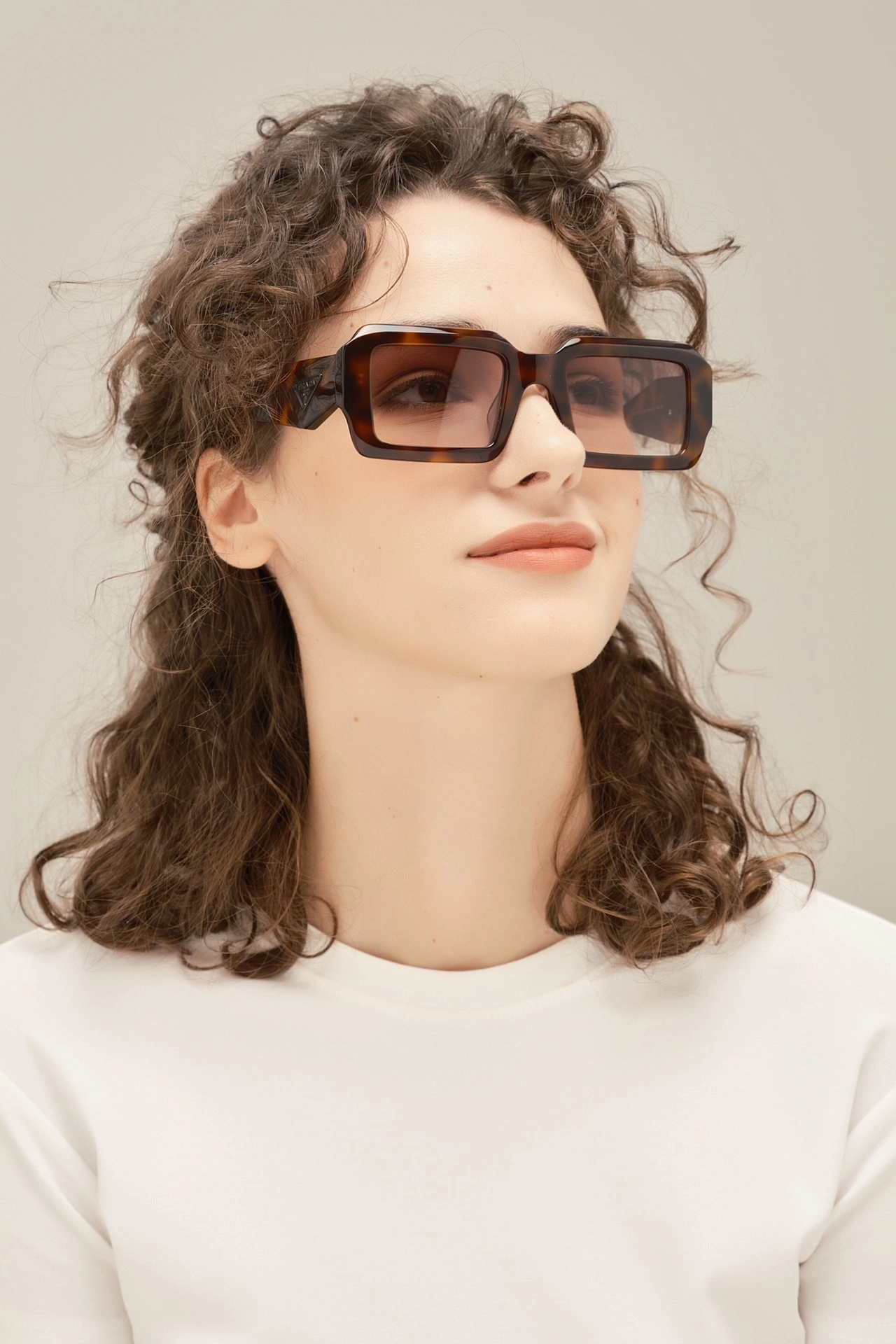 Barbara-- 6Colour item:C-S132E0672-6