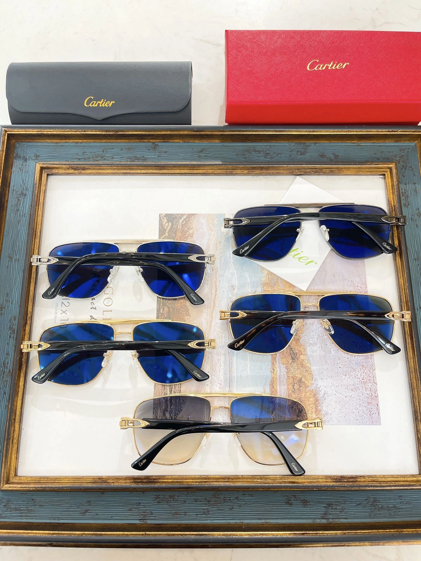 Barbara-- CT0365S 5colour item:D-S132C2803-5