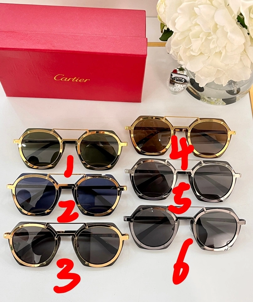 Barbara-- CT8161 6Colour item:C-S132B11149-6