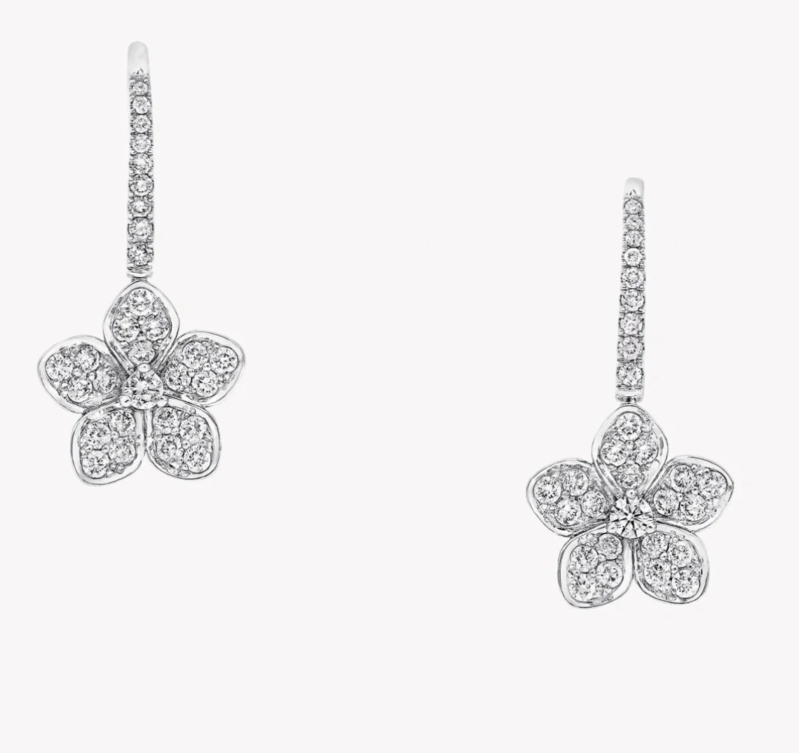 Barbara— 6r1ff item:D-S092L1916