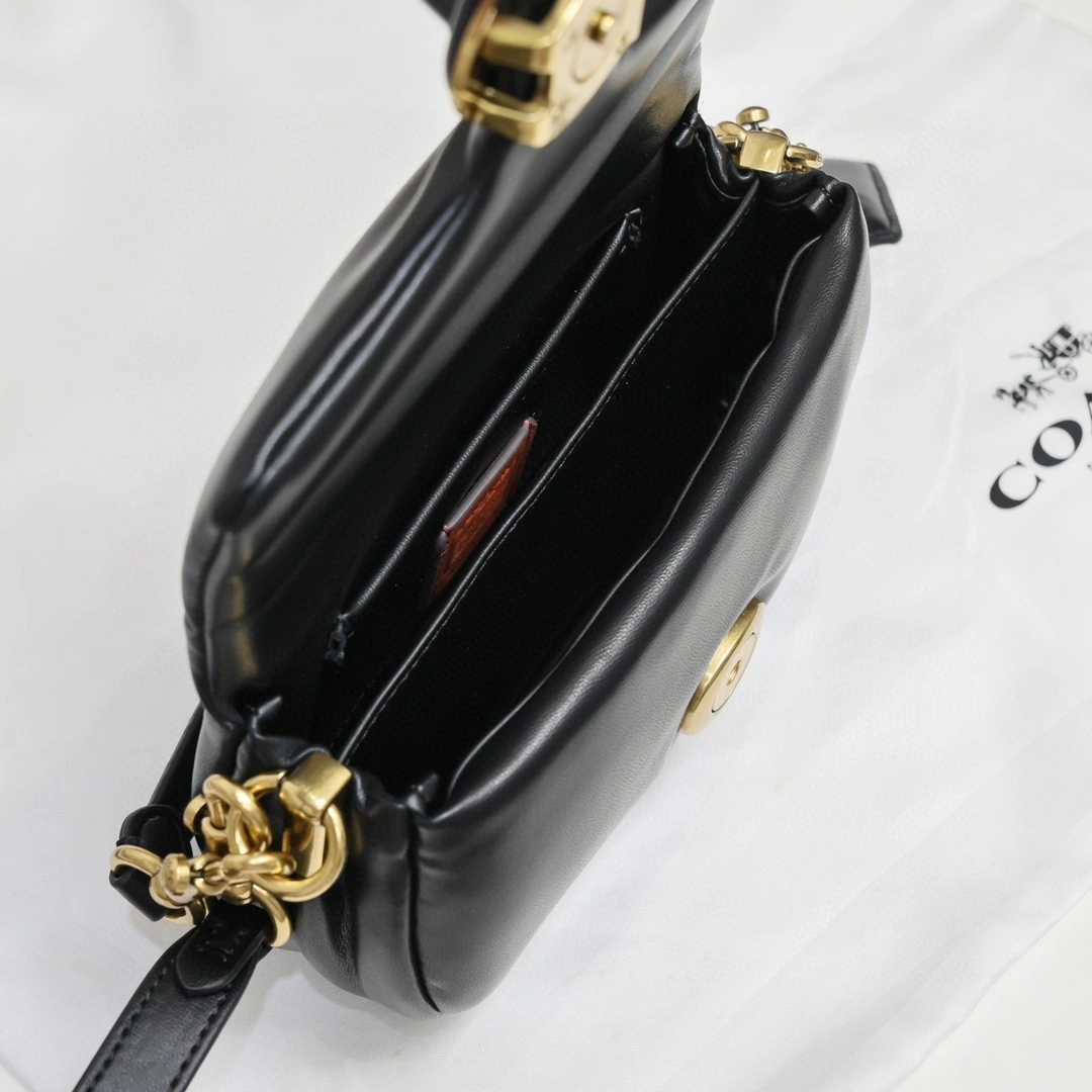 C3880-B4BK Tabby item : BT-B225D0719W
