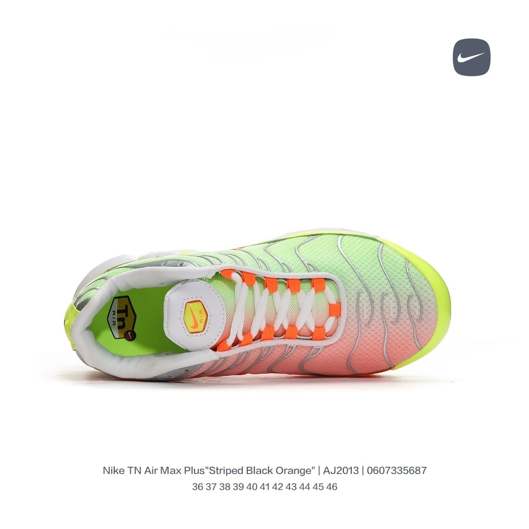 CI5924-531 item:BT-X038F0815H