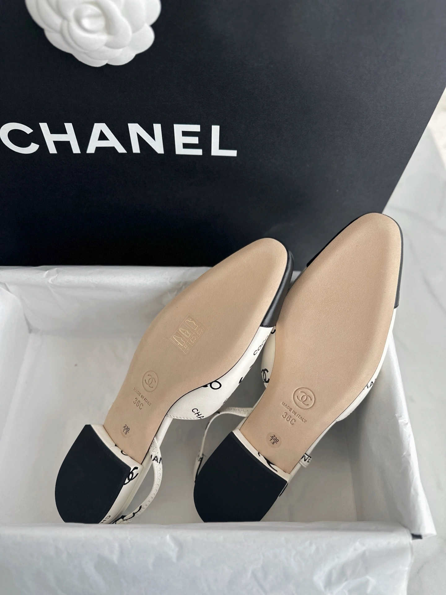 COCO-- 3h1958 G31319 Y56352 K5342 sheephide item:E-X802H2818