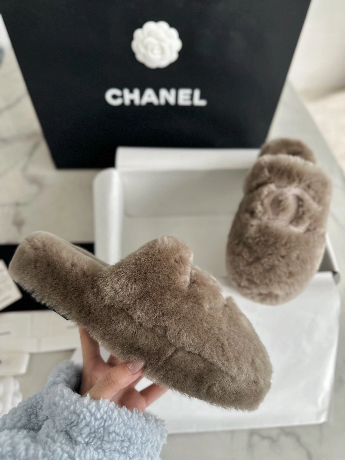 COCO-- 3h1958 G45984 B17892 NZO46 wool item:E-X802K1819