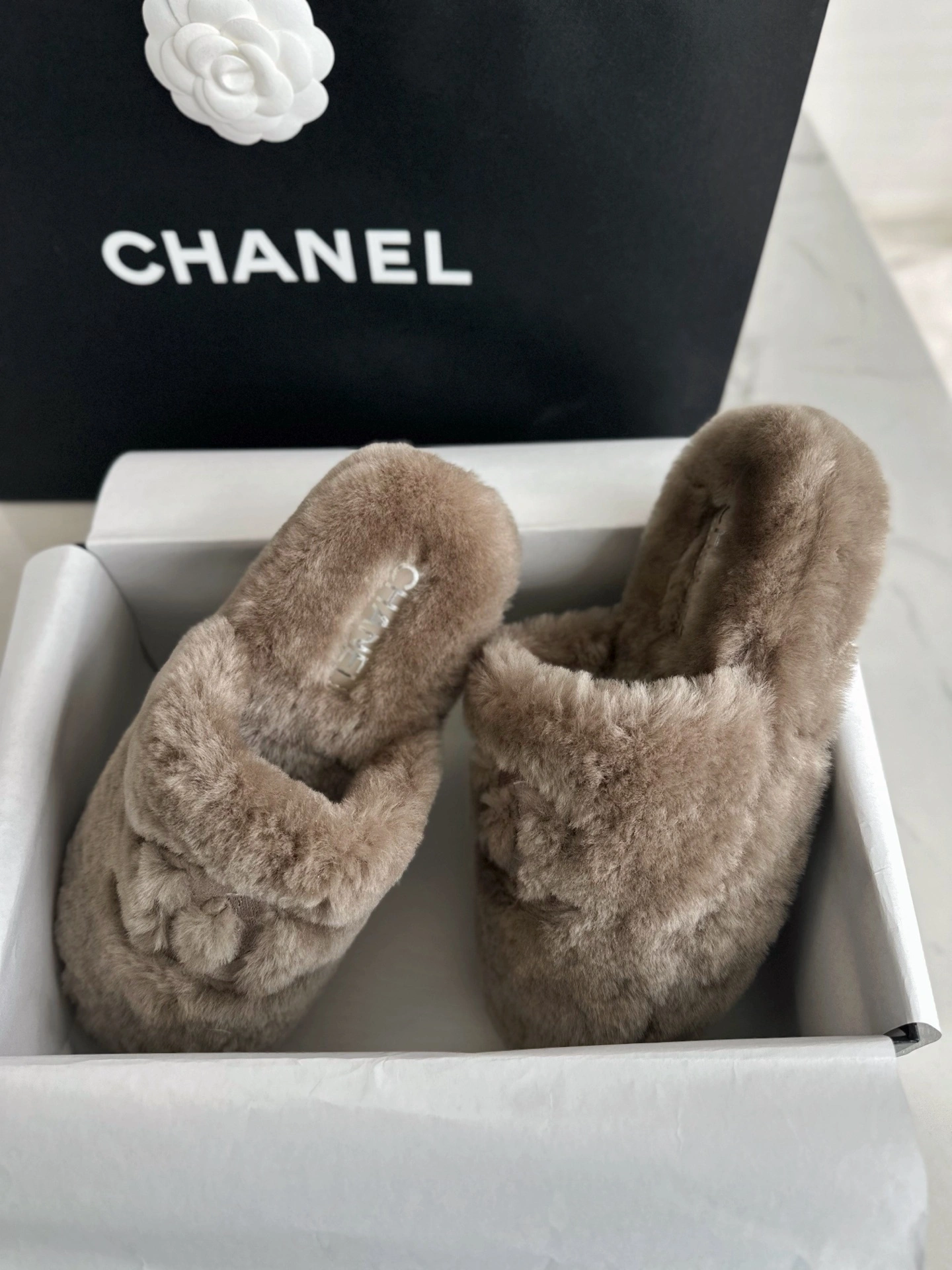 COCO-- 3h1958 G45984 B17892 NZO46 wool item:E-X802K1819