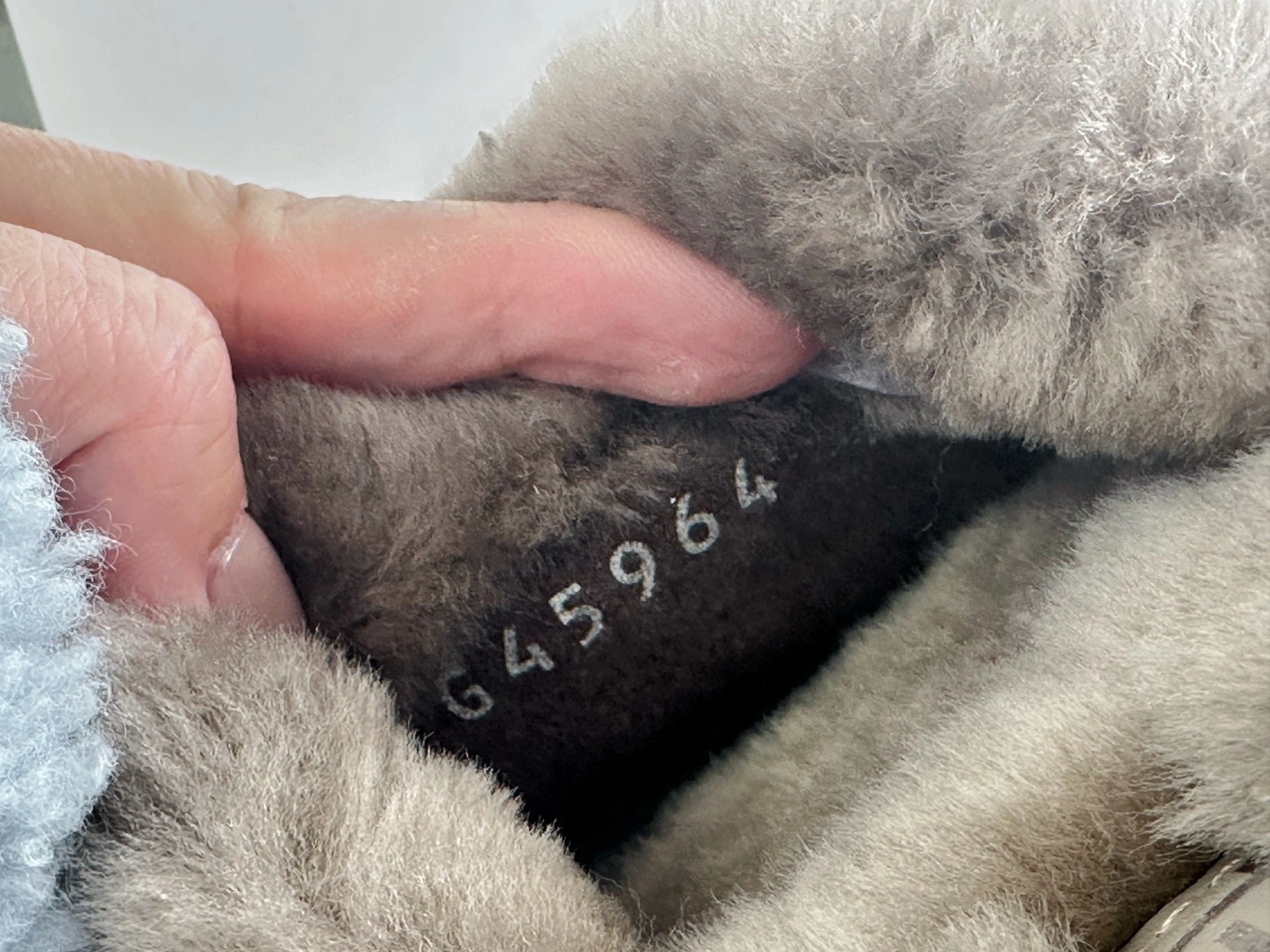 COCO-- 3h1958 G45984 B17892 NZO46 wool item:E-X802K1819