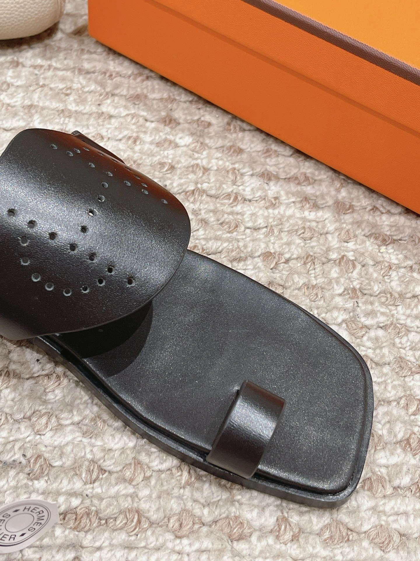 COCO-- H232052Z 02 item:D-X062M2813