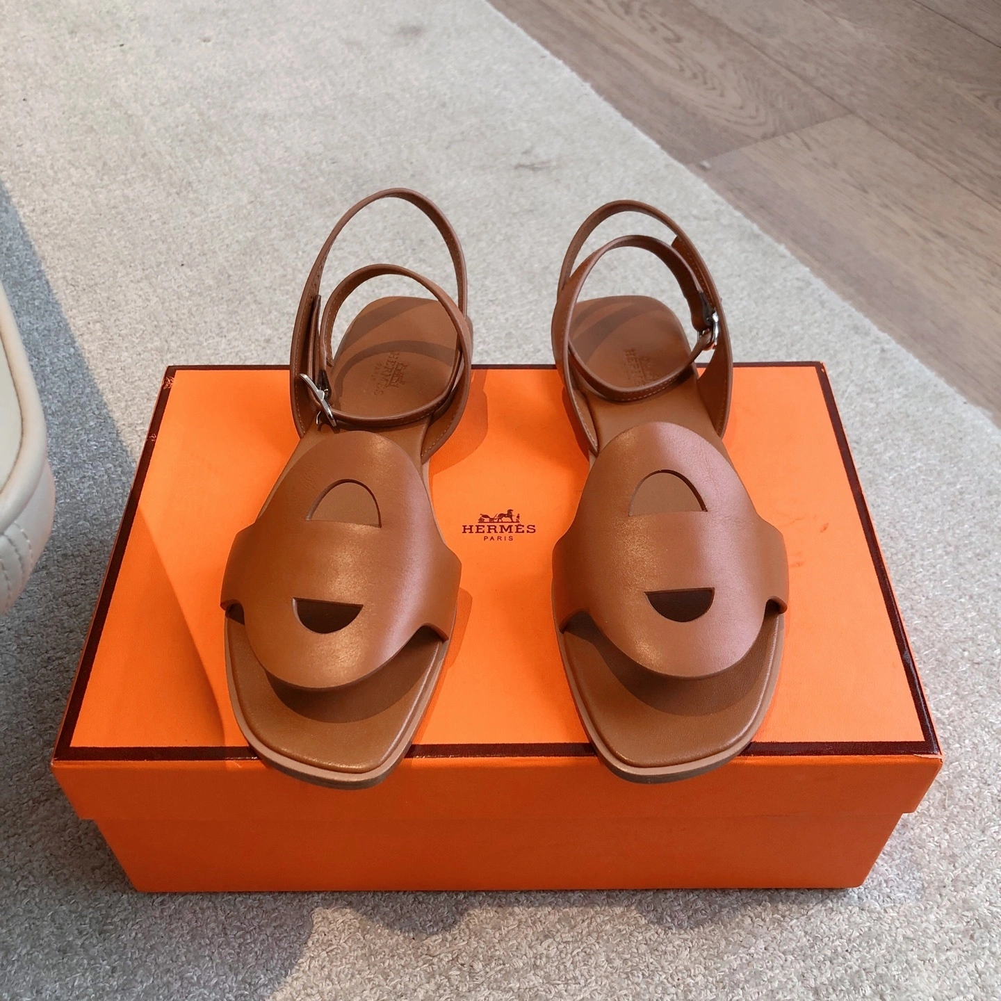 COCO-- H5r75s H242061Z 203 Calfskin item:E-X158C3048