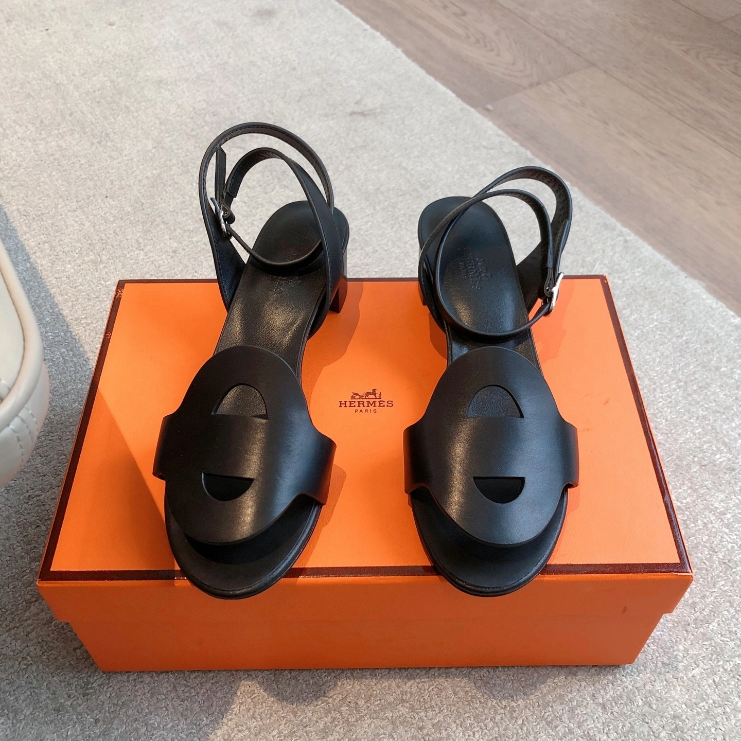 COCO-- H5r75s H242062Z 02 Calfskin item:E-X158C3047