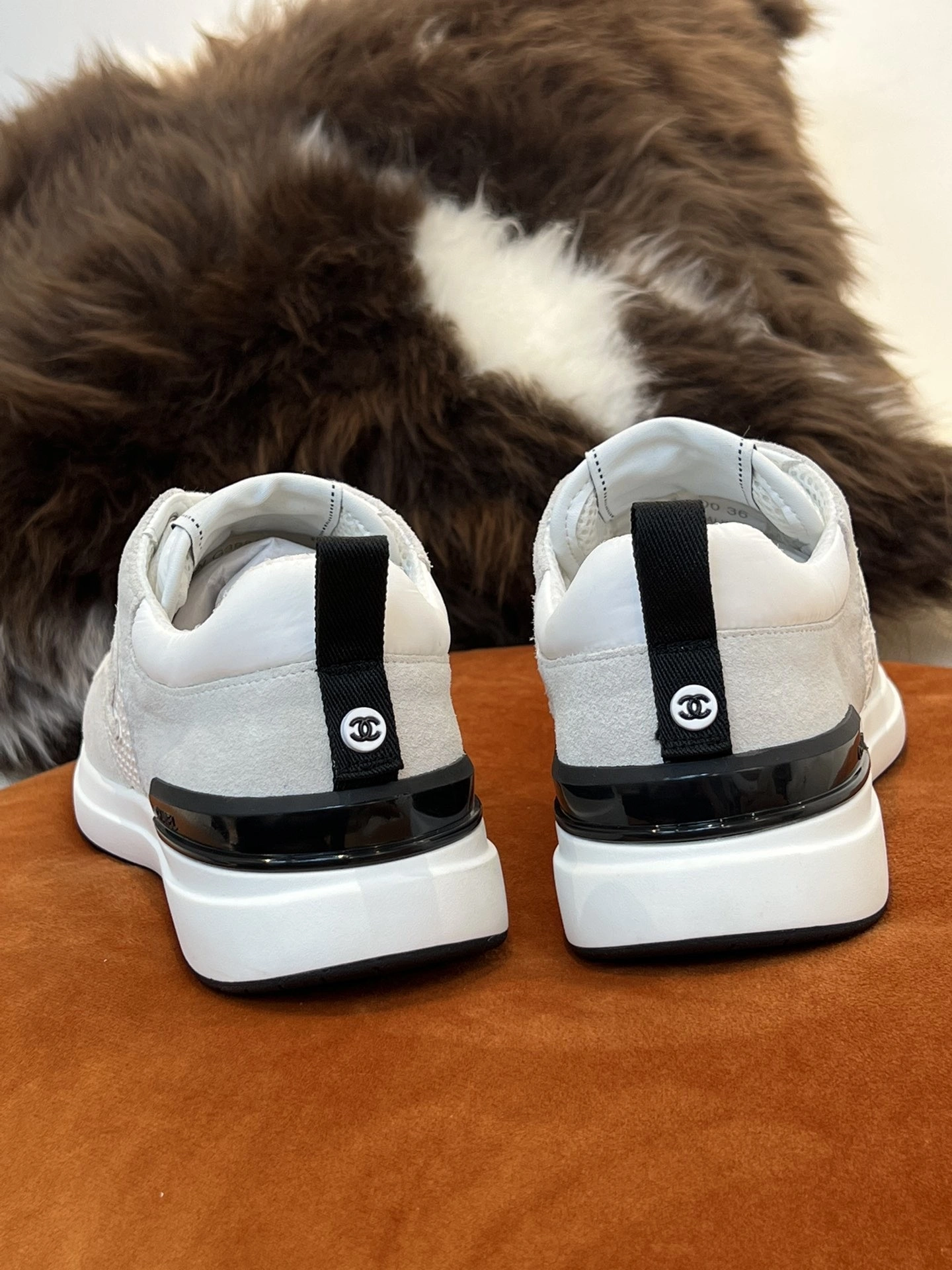 COCO- G38800 Y55746 0N180 22P item:B-X003D1821H