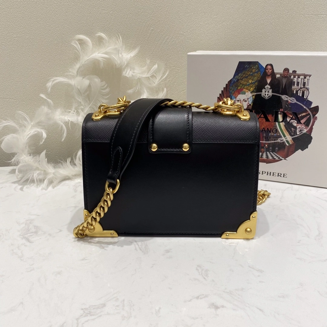 Custombag-- 1BD221-2BB0-F0002-V-CCH high quality version item：C-B806D23110