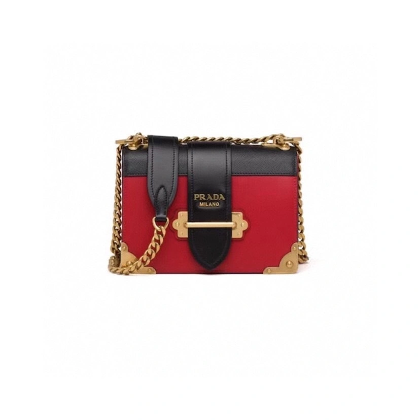 Custombag-- 1BD221-2BB0-F0C9F high quality version item：C-B806D23109