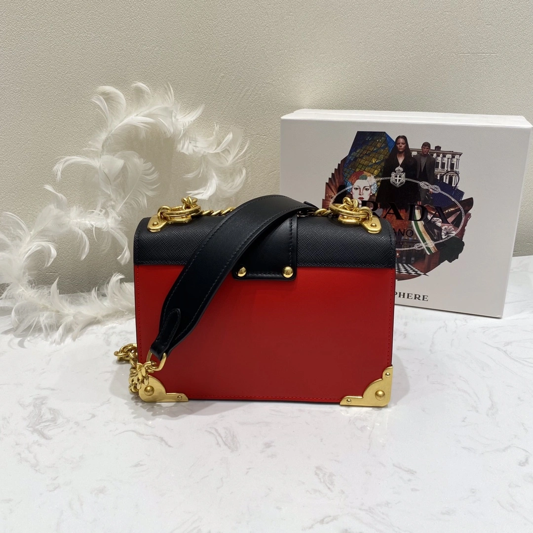 Custombag-- 1BD221-2BB0-F0C9F high quality version item：C-B806D23109