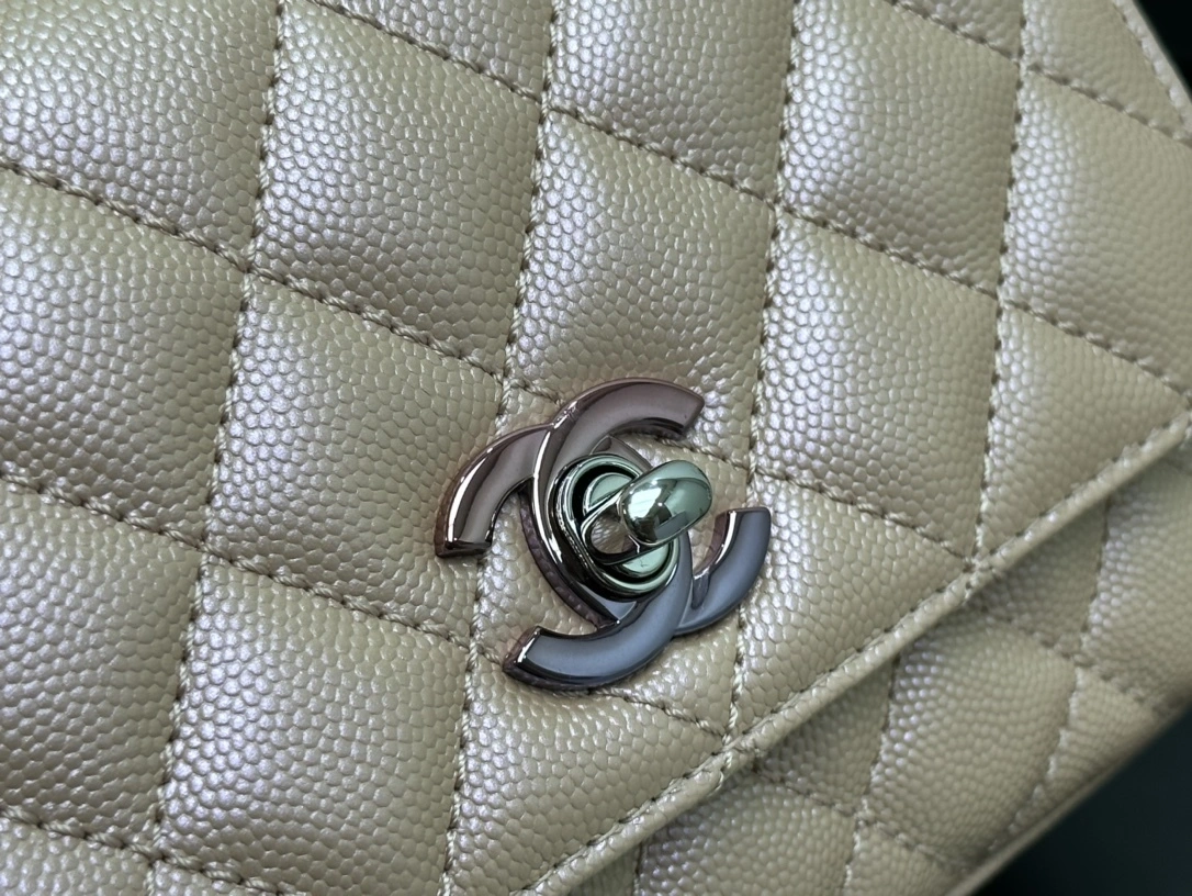 Custombag-- AS2215-B06817-NF498 high quality version item：C-B814G1942R