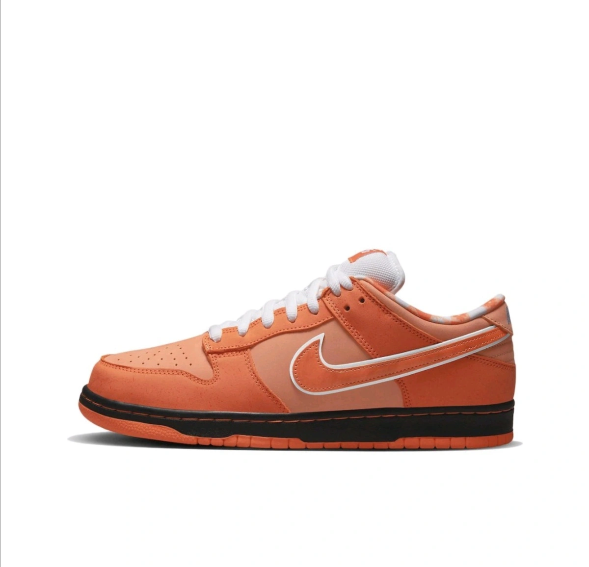 Flying pig-- "Orange Lobster" FD8776-800 item:C-X401H2607Y