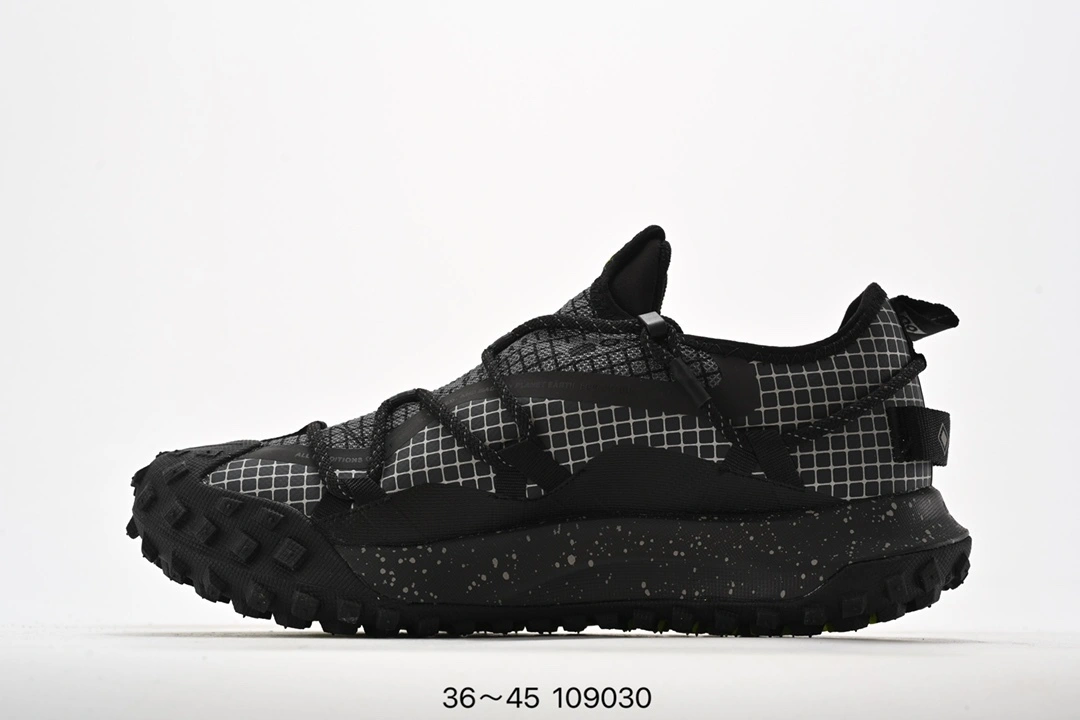 Flying pig--ACG DD2861-002 item: C-X000J2050V