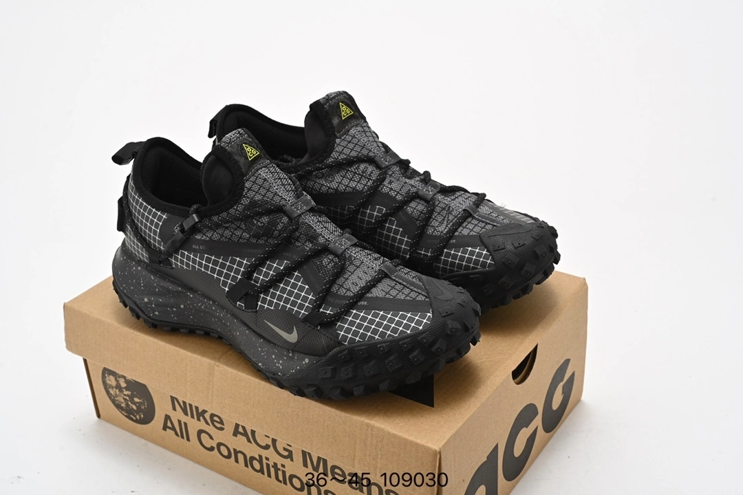 Flying pig--ACG DD2861-002 item: C-X000J2050V