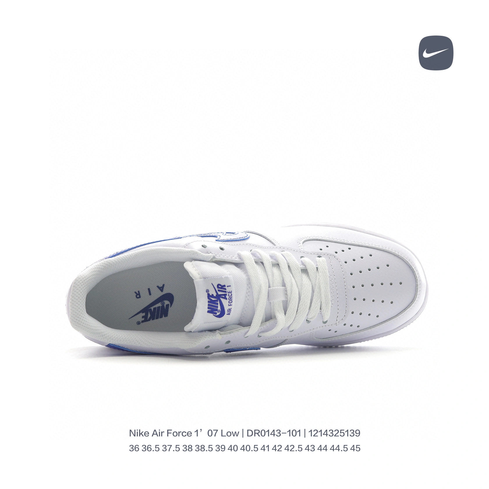&Flying pig- DR0143-100 item : L-X038L2205O