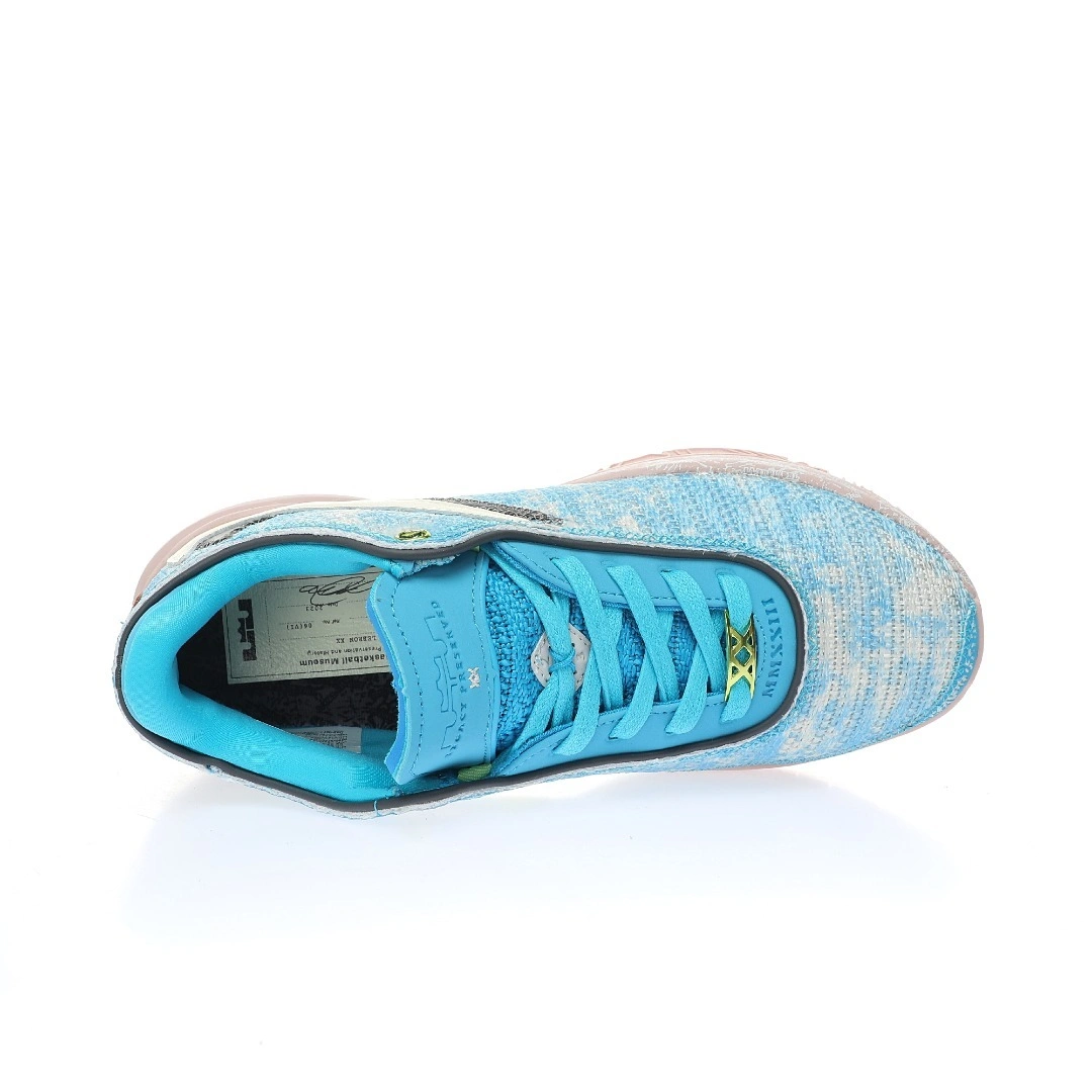 Flying pig--LeBron 20 Low GS"Young Heirs"DV1191-400 item: C-X000J2047V