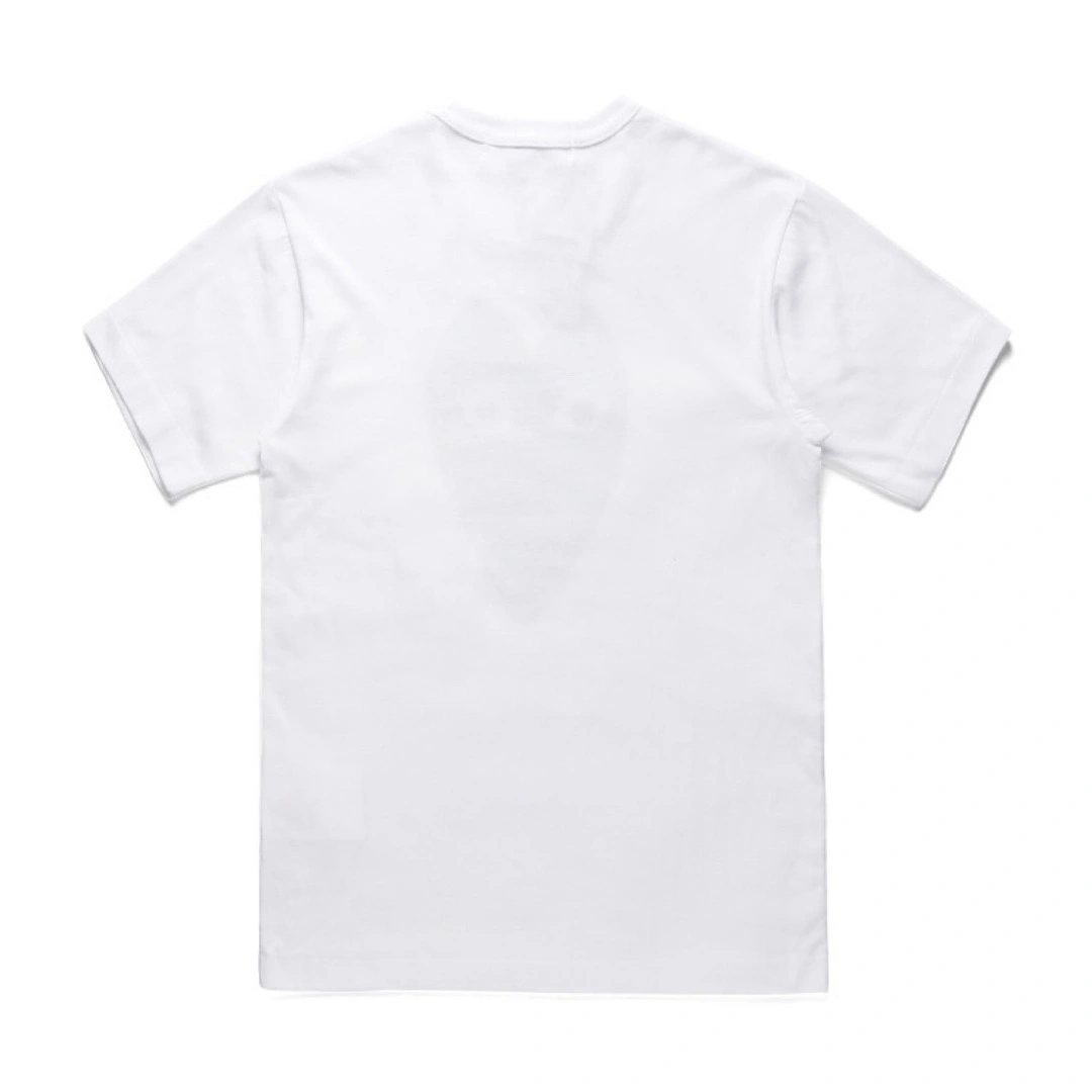 Gemini--- item: D-FL81D1304