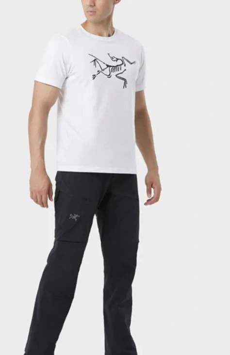 Gemini--- oversized 2colour item: D-F431D2645-2