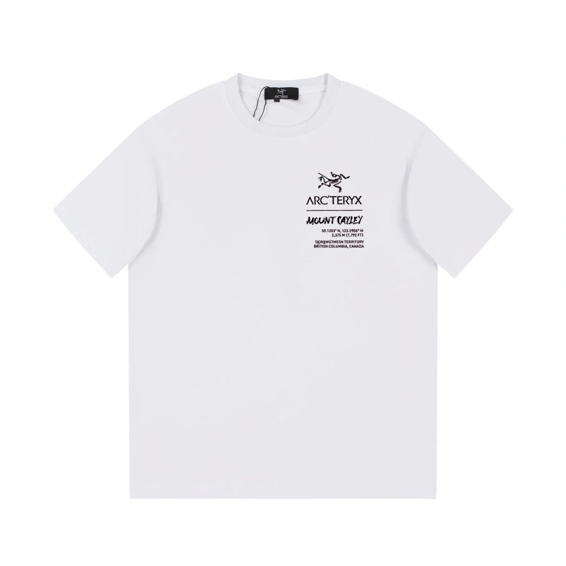 Gemini-- 1r3t5ryx oversized 2colour item:D-F238G1317-2
