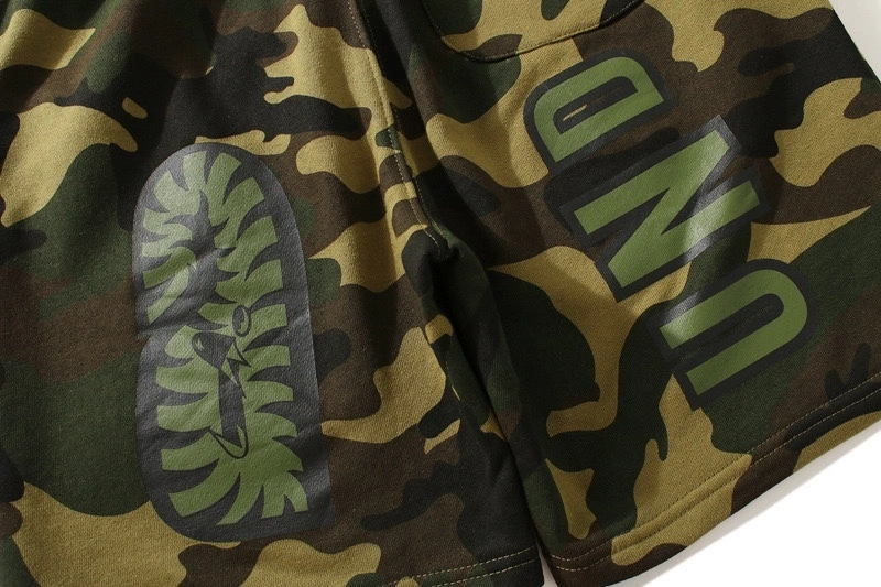 &Gemini-- 21p5 2colour item:D-FL00H0401-2