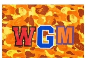 Gemini-- 21p5 item:D-FL00G3002