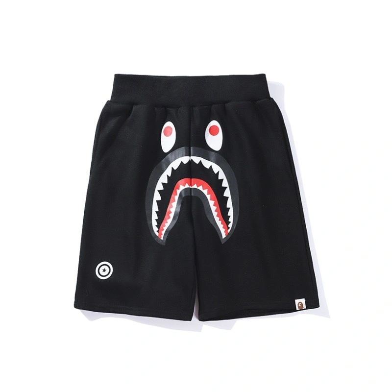 &Gemini-- 21p5 item:D-FL00H0406