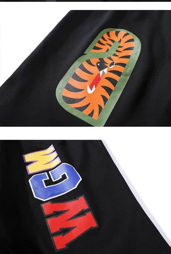 &Gemini-- 21p5 item:D-FL00H0406