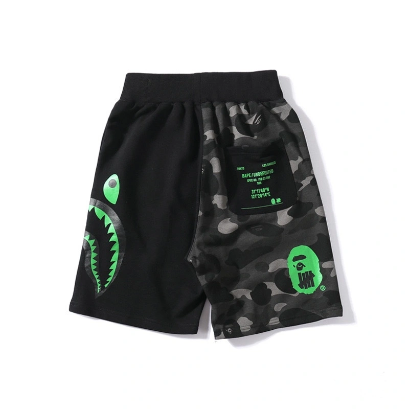 Gemini-- 21p5 item:D-FL00H0413