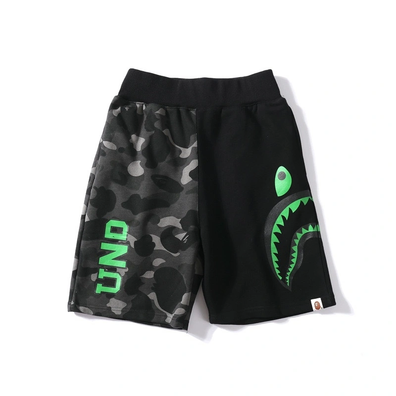 Gemini-- 21p5 item:D-FL00H0413