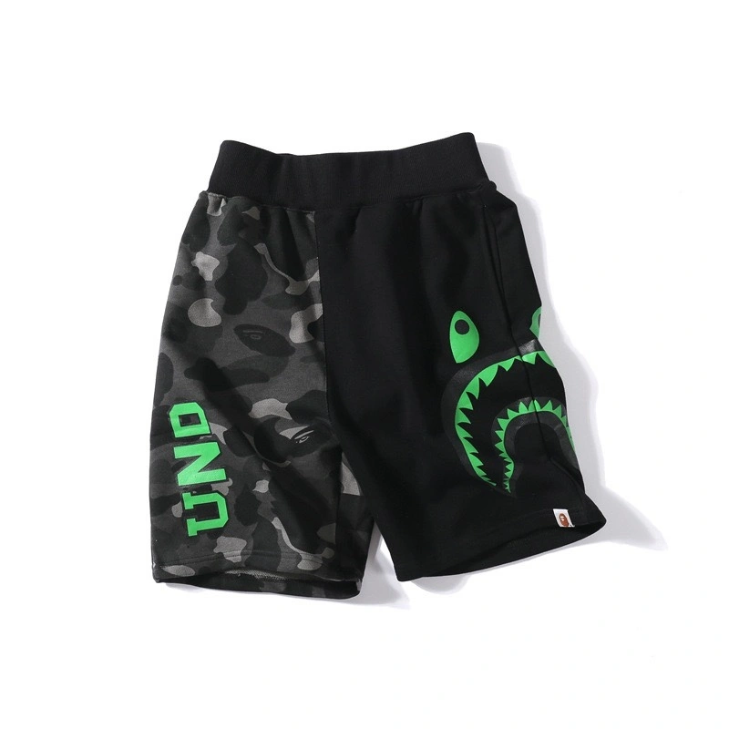 Gemini-- 21p5 item:D-FL00H0413