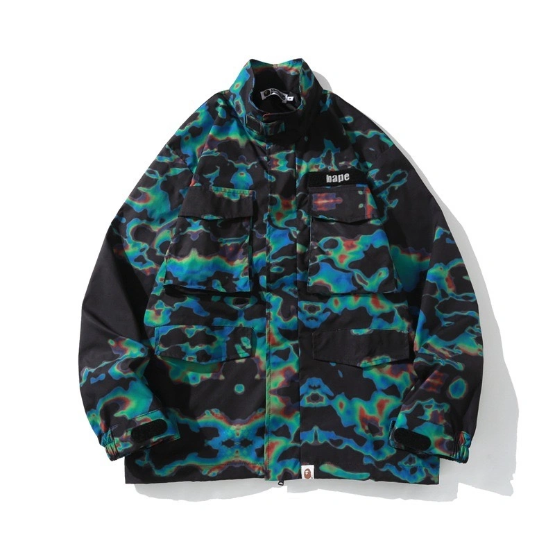 Gemini-- 21p5 item:D-FL00H0416