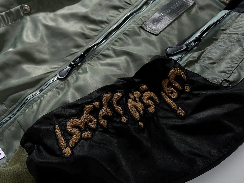 Gemini-- 21p5 item:D-FL00H0417