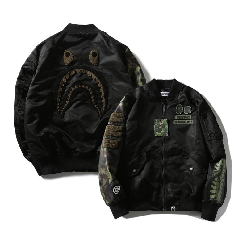 &Gemini-- 21p5 item:D-FL00H0506