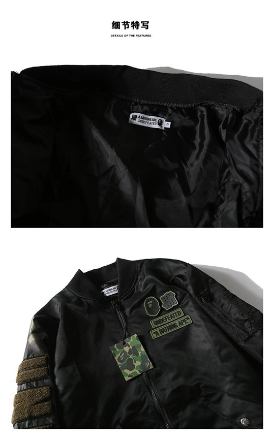 &Gemini-- 21p5 item:D-FL00H0506