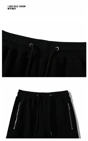&Gemini-- 21p5 item:D-FL00H0509
