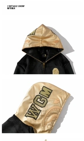 Gemini-- 21p5 item:D-FL00H0510