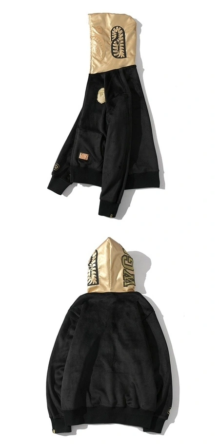 Gemini-- 21p5 item:D-FL00H0510