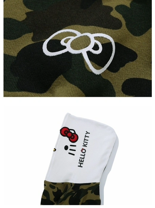 Gemini-- 21p5 item:D-FL00H0517