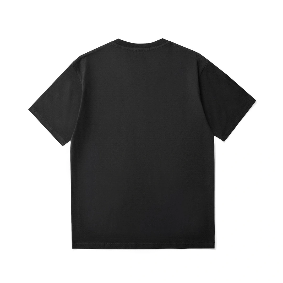 Gemini-- 21p5 item:D-FL00H0519-2