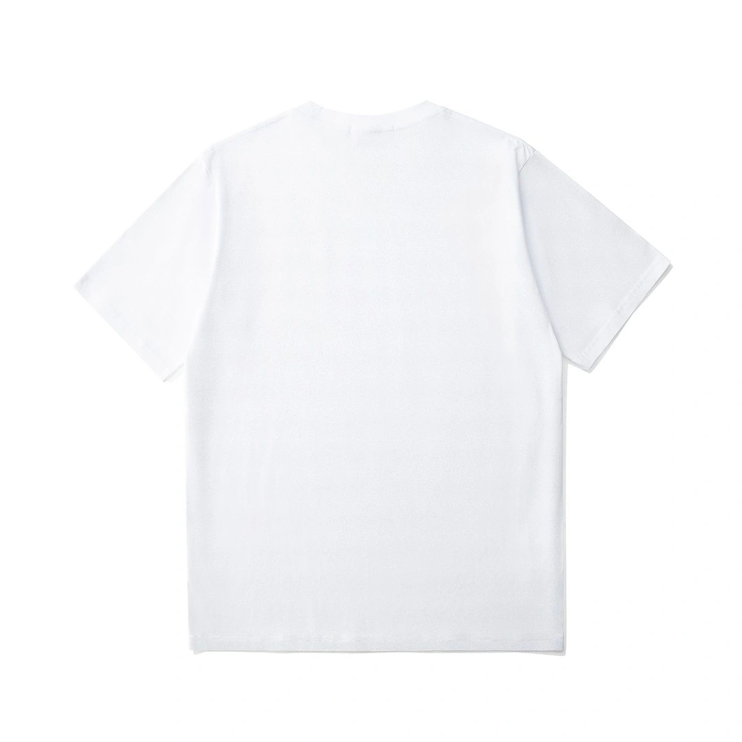 Gemini-- 21p5 item:D-FL00H0519-2
