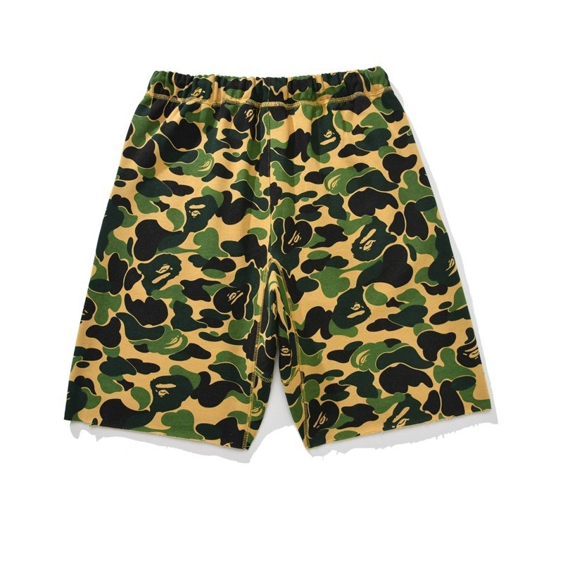 Gemini-- 21p5 item:D-FL05F1901