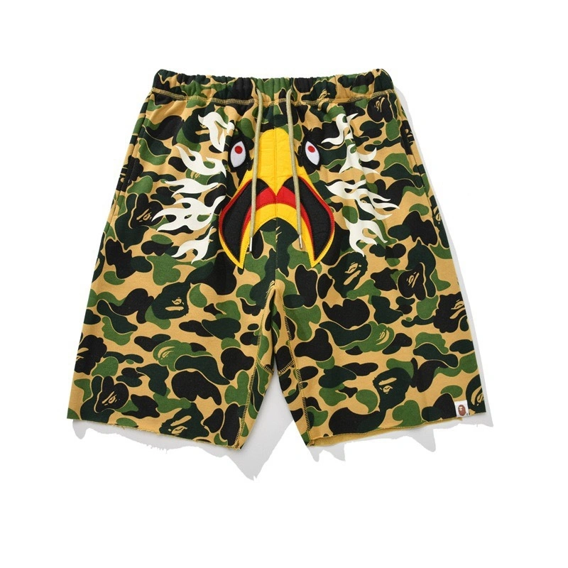 Gemini-- 21p5 item:D-FL05F1901