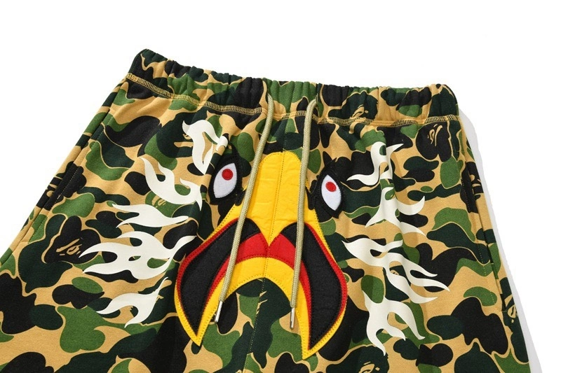 Gemini-- 21p5 item:D-FL05F1901