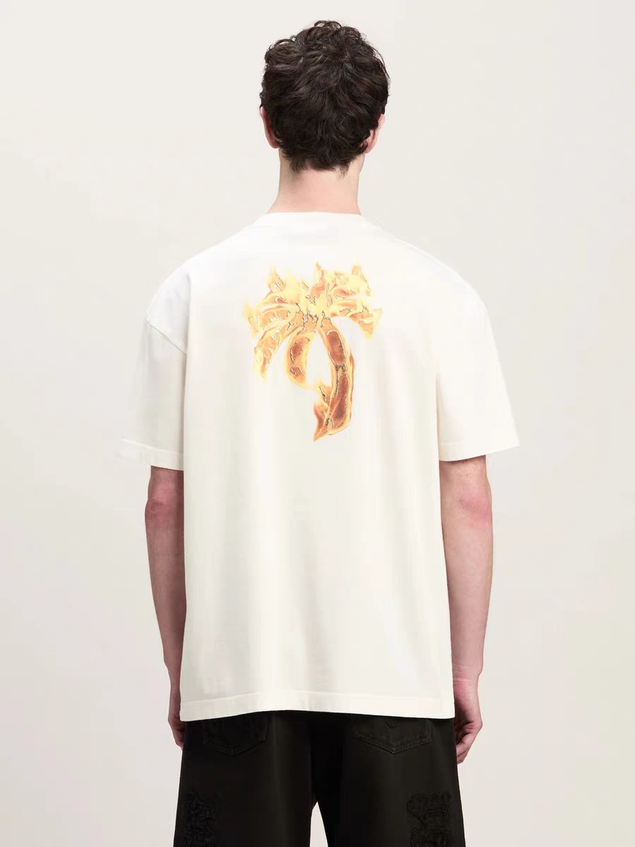 Gemini-- P187 oversize item:E-FL29H3002